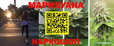 шишки Кандалакша