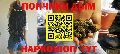 шишки Кандалакша