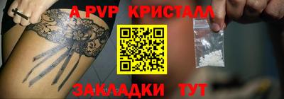 шишки Кандалакша
