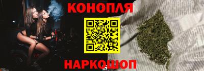 шишки Кандалакша