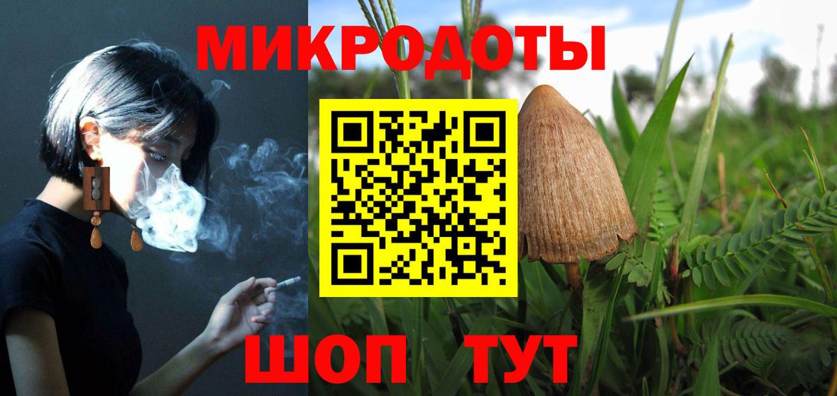 Псилоцибиновые грибы Psilocybine cubensis Конаково